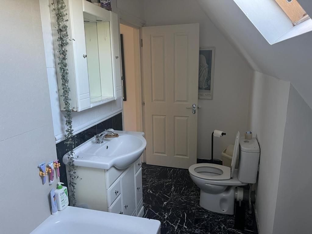 2 Bedroom Top Floor Flat, West Dulwich Free Street Parking Londres Extérieur photo